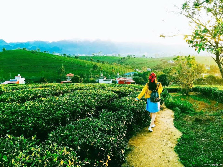 Tour du lịch Bắc Giang-Điện Biên-Sơn La-Mộc Châu 4N4Đ giá rẻ