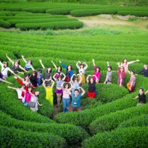 TOUR GHÉP ĐOÀN MAI CHÂU - MỘC CHÂU ĐI TỪ HÀ NỘI GIÁ SHOCK